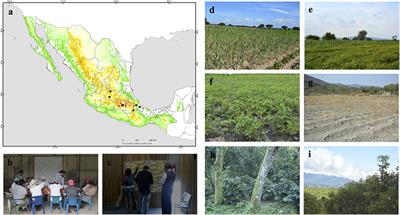 Cognitive Maps Across Multiple Social Sectors: Shared and Unique Perceptions on the Quality of Agricultural Soils in Mexico